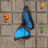 Schmetterlings-Memory-Match
